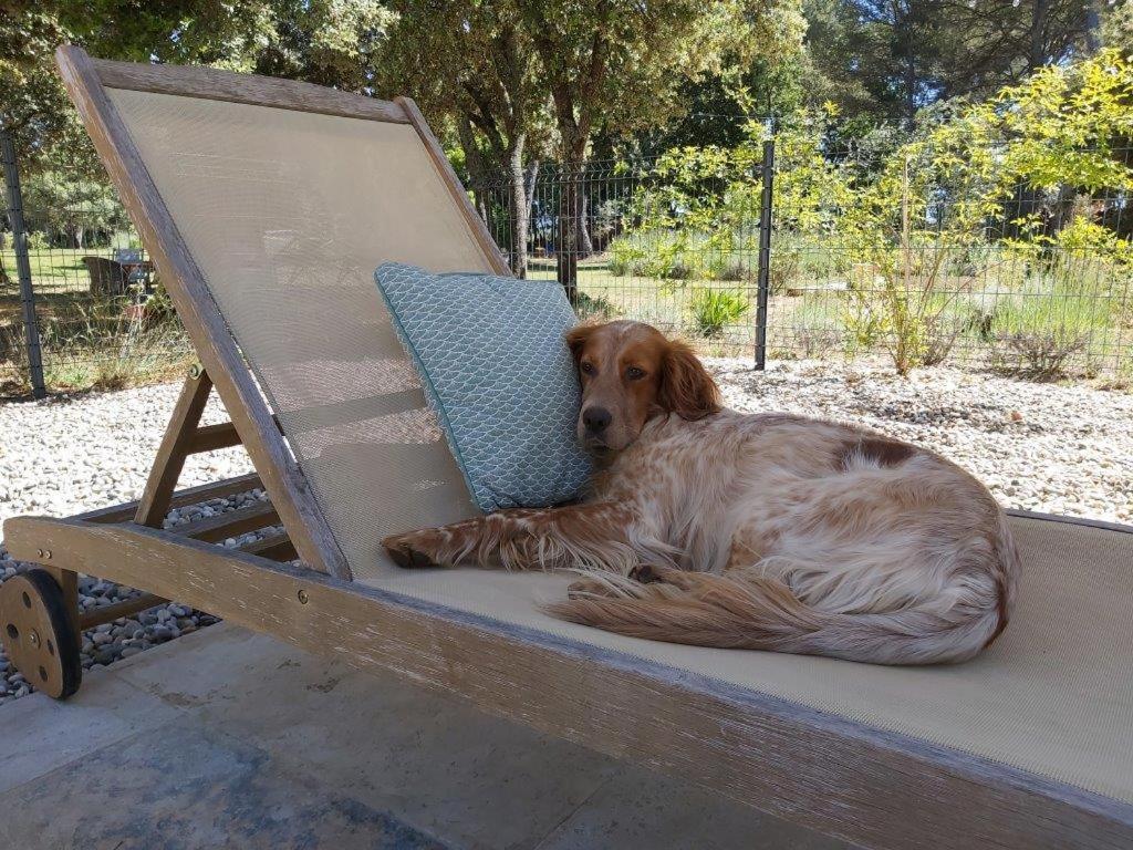 マザン Gite Dans Les Pins Avec Piscineヴィラ エクステリア 写真
