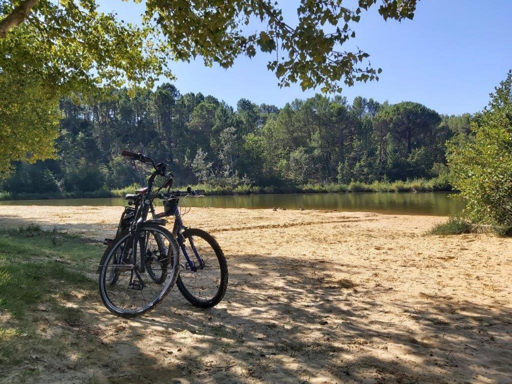 マザン Gite Dans Les Pins Avec Piscineヴィラ エクステリア 写真